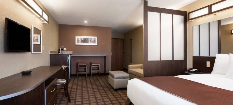 普莱森顿温德姆麦客达套房酒店(Microtel Inn & Suites by Wyndham Pleasanton)图片