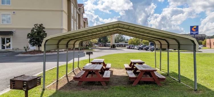 布拉克锡尔84高速公路舒适酒店(Comfort Inn Blackshear Hwy 84)图片