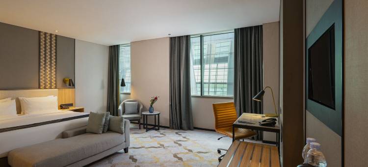 安那拉机场酒店(Anara Airport Hotel)图片