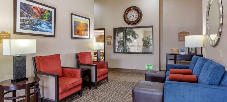 舒适套房酒店(Comfort Inn & Suites)图片