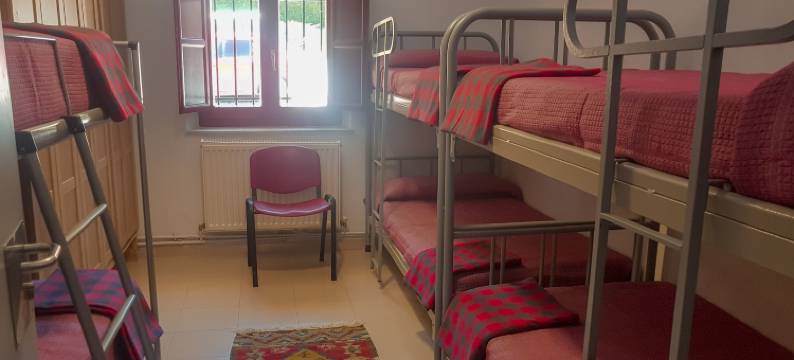 棕熊青年旅舍(Hostel El Oso Pardo)图片