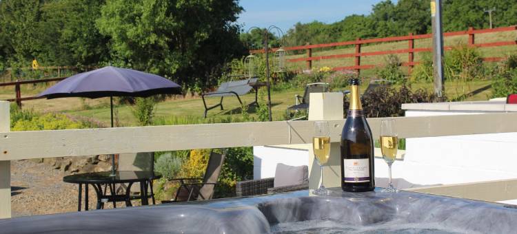 兔子草原农场旅馆(Bunny Meadows Holiday Farmhouse Near Carmarthen & Pembrokeshire)图片