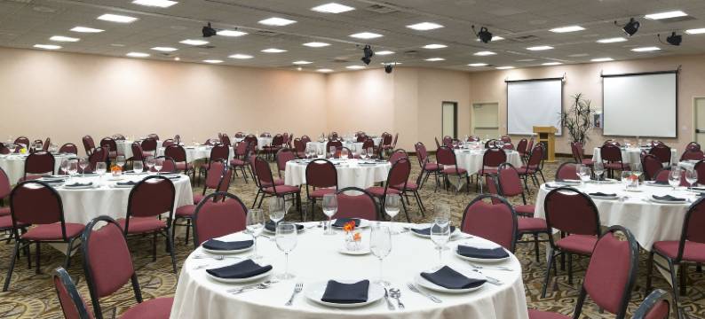 博雷戈斯普林斯度假酒店及水疗中心(Borrego Springs Resort and Spa)图片