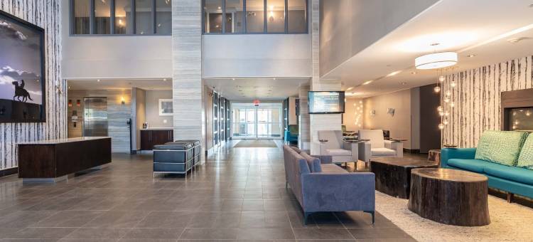 桑德曼经典埃德蒙顿南酒店(Sandman Signature Edmonton South Hotel)图片