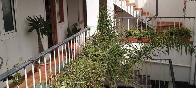 港口巢穴旅馆(Puerto Nest Hostel)图片