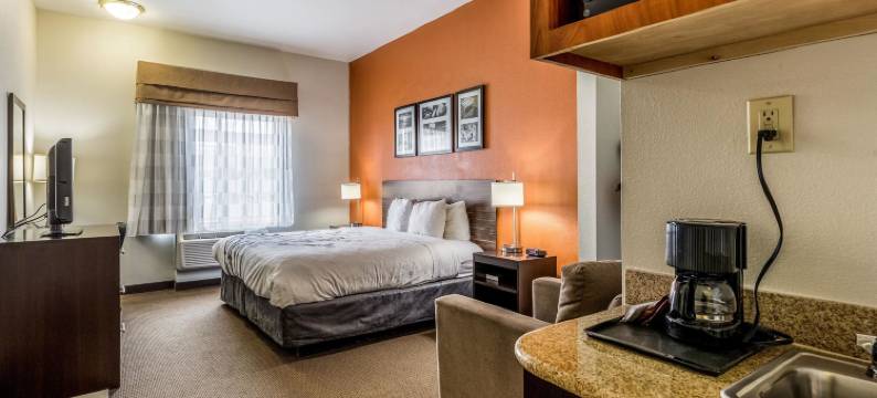 斯塔福德舒格兰舒眠套房酒店(Sleep Inn & Suites Stafford - Sugarland)图片