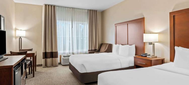 舒适套房酒店(Comfort Inn & Suites)图片