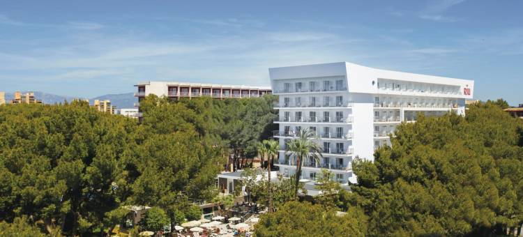 里乌节日酒店(Hotel Riu Festival)图片