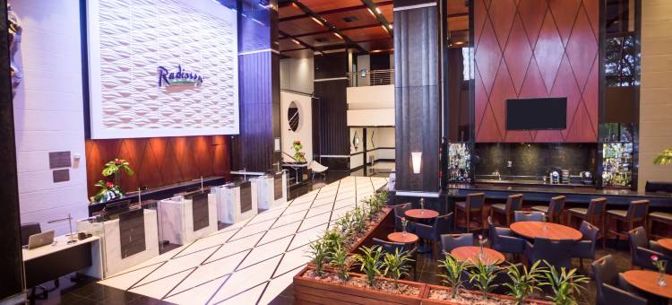 雷迪森库里提巴大酒店(Radisson Hotel Curitiba)图片