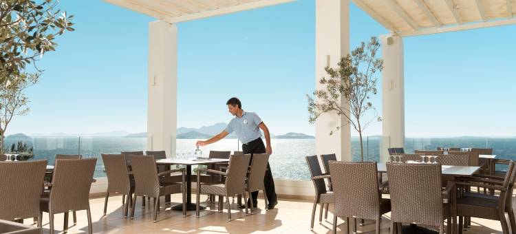 达戴劳斯罗宾逊(Robinson Daidalos)图片