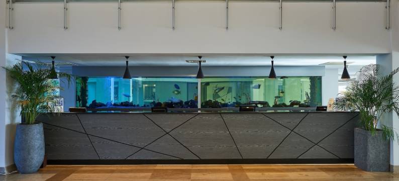 Altin Yunus酒店& Spa(Altin Yunus Hotel & Spa - Çeşme)图片