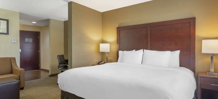 洛克斯特格罗夫亚特兰大南舒适全套房酒店(Comfort Suites Locust Grove Atlanta South)图片