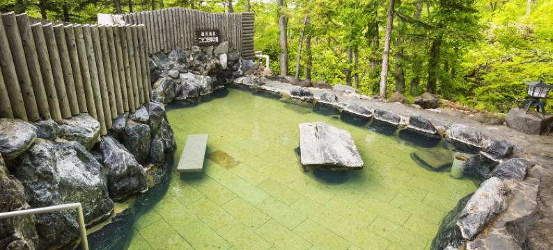 二世古温泉乡憩之汤宿伊吕波旅馆(Niseko Hot Spring Ikoino Yuyado Iroha)图片