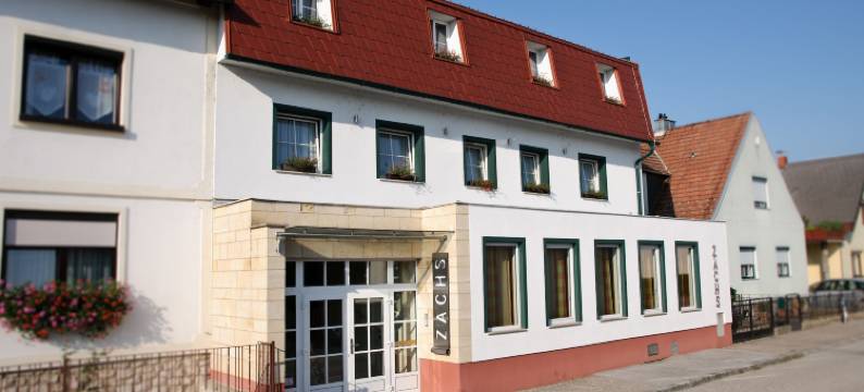 萨赫酒店(Hotel Zachs)图片