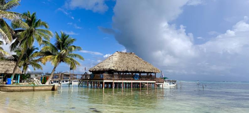 水景海滨套房酒店(Aqua Vista)图片