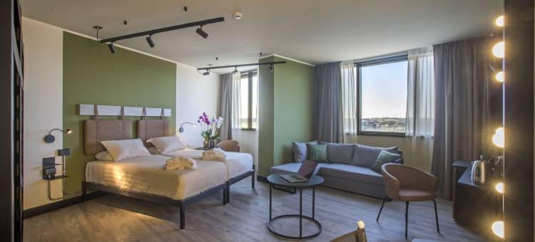 罗马奇尼奇塔美居酒店(Mercure Roma Cinecittà)图片