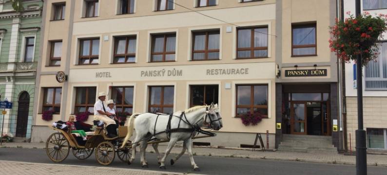 庄园酒店(Hotel Panský dům)图片