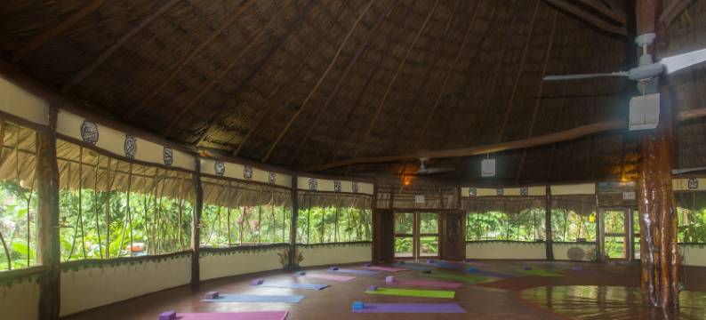 棉花树旅馆(Cotton Tree Lodge)图片