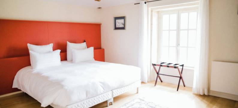 贝萨伊城堡酒店(Hôtel-Restaurant le Château de Besseuil, Mâcon Nord - Teritoria)图片