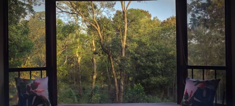 库尔格野行- CGH Earth Saha(Coorg Wild Walk- CGH Earth Saha)图片