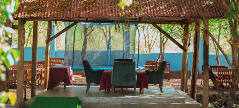 姆科马齐酒店和营地(Mkomazi Hotels and Camp Sites)图片