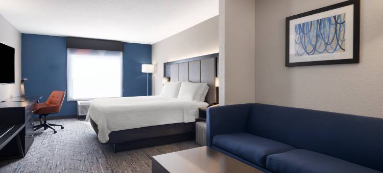 圣彼得堡北(I-275)智选假日酒店(Holiday Inn Express & Suites ST. Petersburg North (I-275))图片