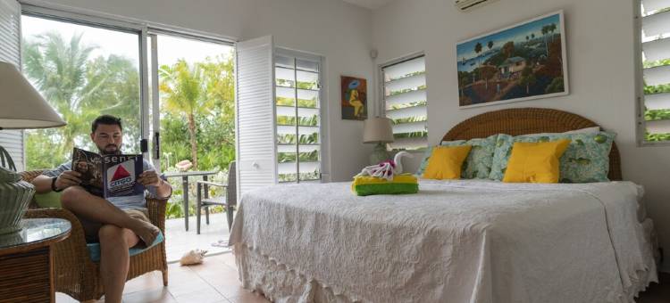 格雷斯湾海滩7英亩度假村：主楼 海景+泳池+海滨+葱郁花园(Grace Bay Beach 7Acre Resort: MainHouse Ocean Views+Pool+Oceanfront+Lush Gardens)图片