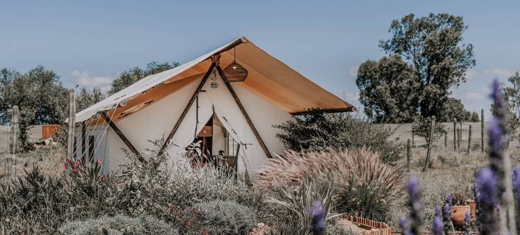 萨尔特拉豪华露营(Salterra Glamping)图片