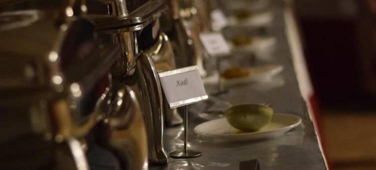 OM河畔度假营地(Camp OM Riverside Retreat)图片