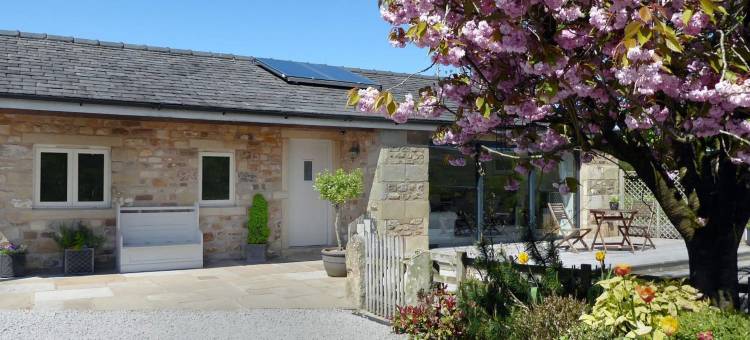 石鼠小屋酒店(Stone Mouse Cottage)图片