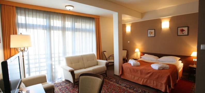 斯洛泽尼马林酒店(Hotel Słoneczny Młyn)图片