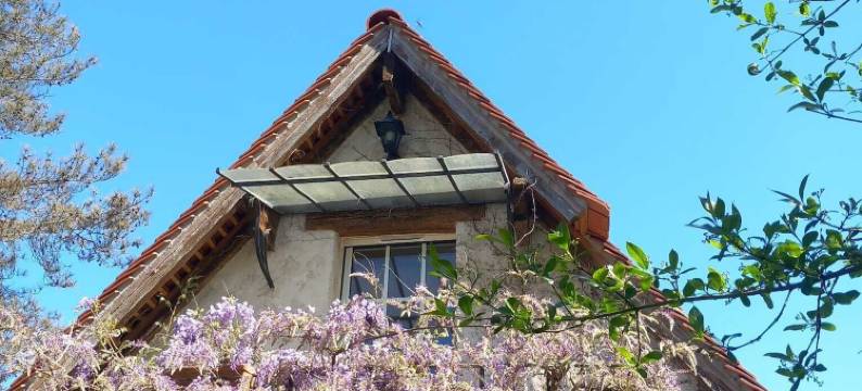 拉达纳莎旅馆(Maison d'hôtes La Danasha)图片