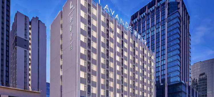 麗枫酒店(佛山智慧新城地铁站店)图片