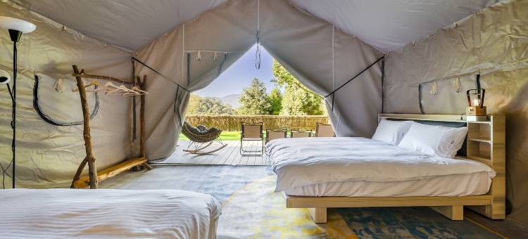 山上种树牛樟森林休闲农场图片