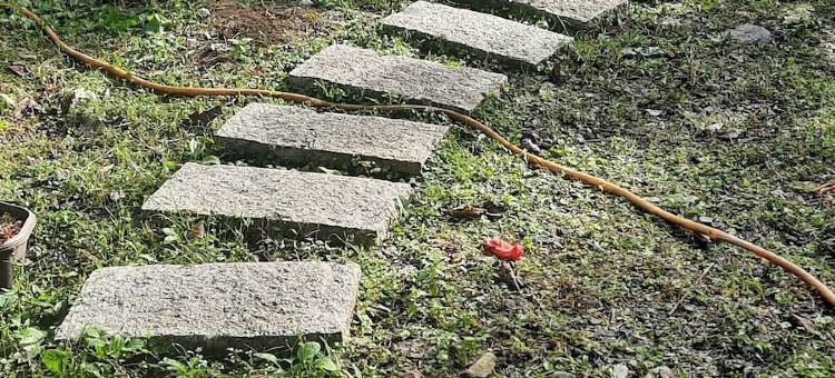 Nasun背包客棧图片