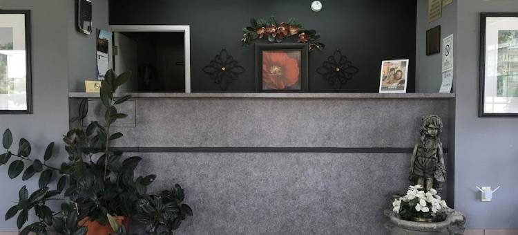 新奥尔良旅馆(Nola Inn)图片