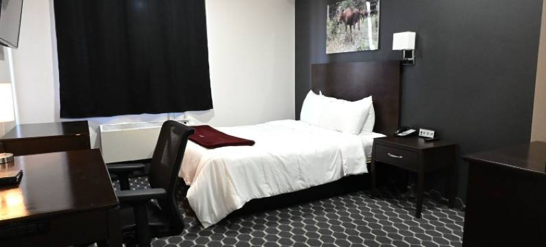 帕芬旅馆(Puffin Inn)图片