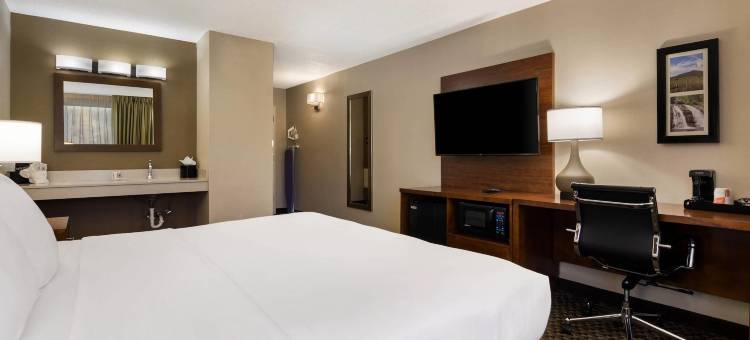 弗吉尼亚州霍斯中心因舒适酒店(Comfort Inn Virginia Horse Center)图片