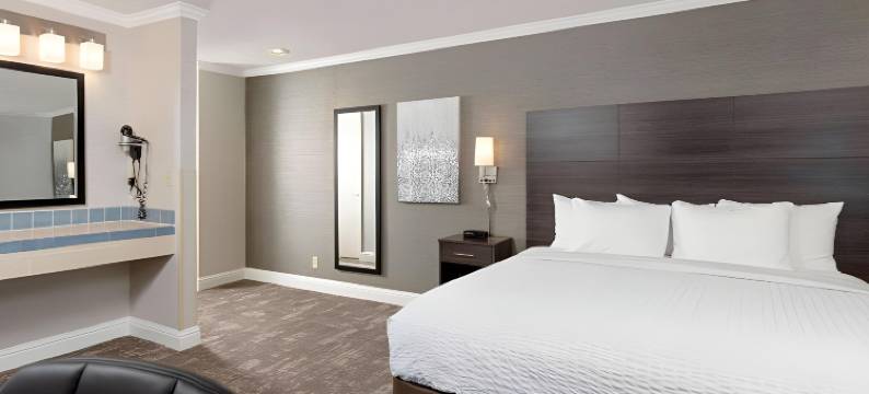 硅谷克拉丽奥酒店(Clarion Inn Silicon Valley)图片