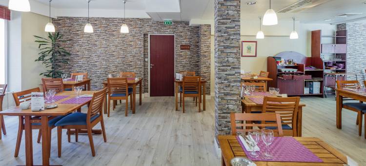 蒙吕松诺米斯涅里斯(Noemys Neris Montlucon - Hotel Restaurant)图片