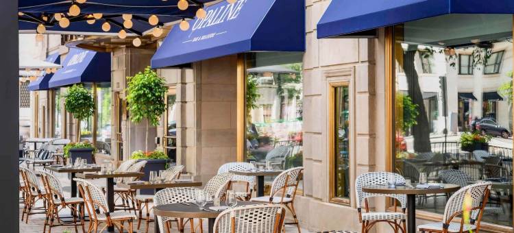 华盛顿特区拉法叶广场索菲特酒店(Sofitel Lafayette Square Washington DC)图片