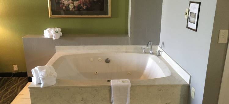 假日酒店奥兰多北冬季公园 by IHG(Holiday Inn Orlando North Winter Park by IHG)图片