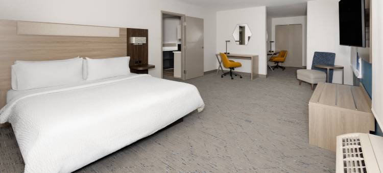 怀奥米辛智选假日套房酒店(Holiday Inn Express & Suites Wyomissing)图片