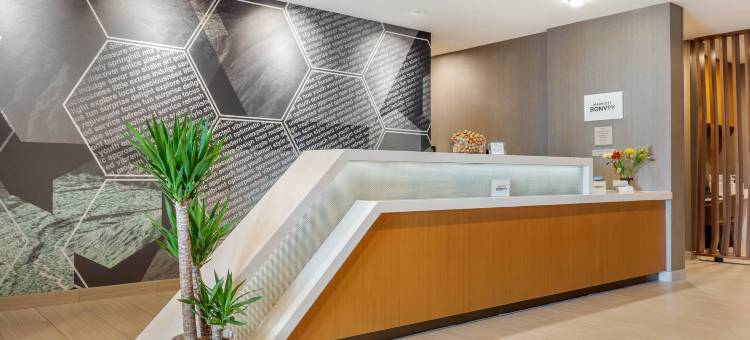 夏洛特西南万豪SpringHill Suites酒店(SpringHill Suites Charlotte Southwest)图片