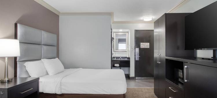 国家航空航天局韦伯斯特贝斯特韦斯特酒店(Best Western Webster Hotel, NASA)图片