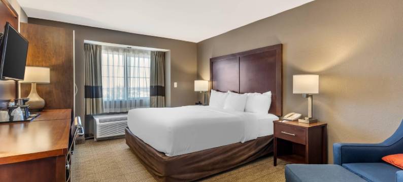 阿兹特克-法明顿地区康福特旅馆及套房(Comfort Inn & Suites Aztec - Farmington Area)图片