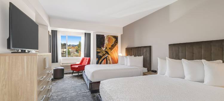 普莱西德湖旅馆精品酒店(Lake Placid Inn Boutique Hotel)图片