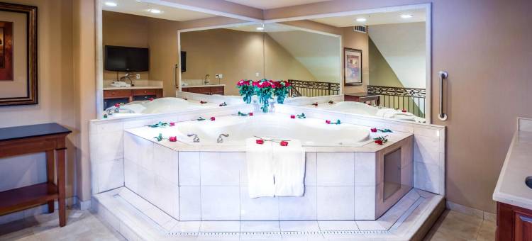 博伊西斯贝克特若姆欢朋套房酒店(Hampton Inn & Suites Boise/Spectrum)图片