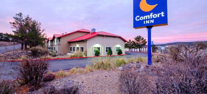 吉拉国家森林公园附近舒适酒店(Comfort Inn Near Gila National Forest)图片