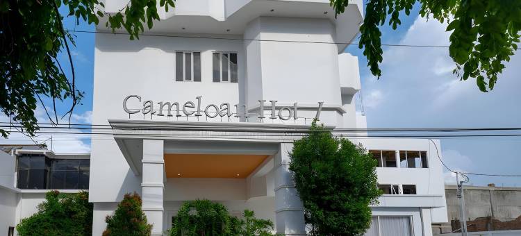 红多兹Plus酒店@帕卢喀麦隆酒店(RedDoorz Plus @ Cameloan Hotel Palu)图片